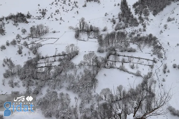 چهره برفی و زیبای کوهستان چالوس