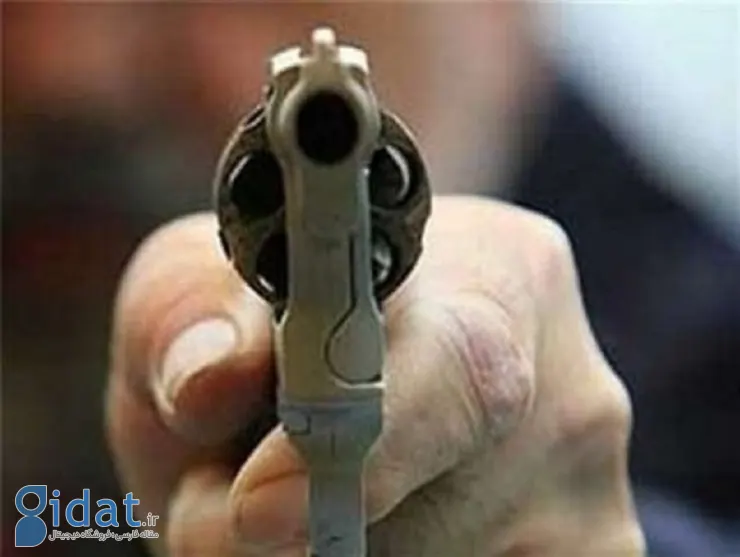 زورگیر 31 ساله با سلاح جعلی دستگیر شد