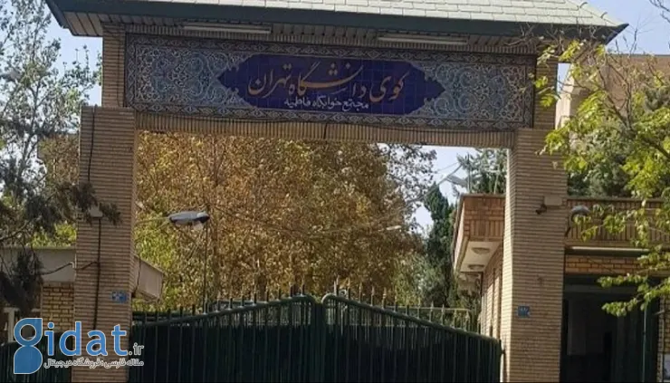 صحنه قتل دانشجوی دانشگاه تهران بازسازی می شود