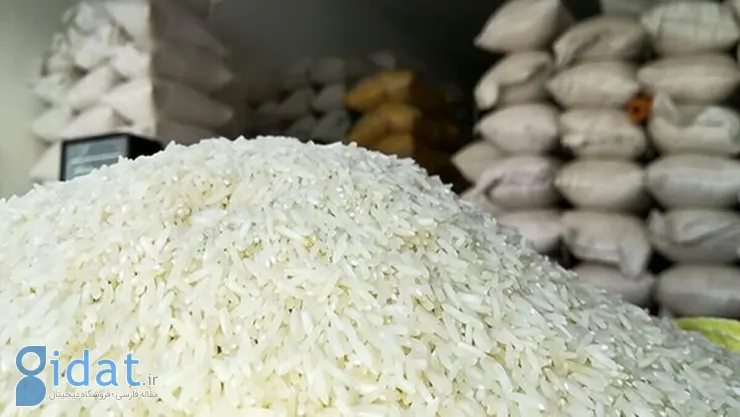 بعد از چای دبش، حالا نوبت برنج دبش است!