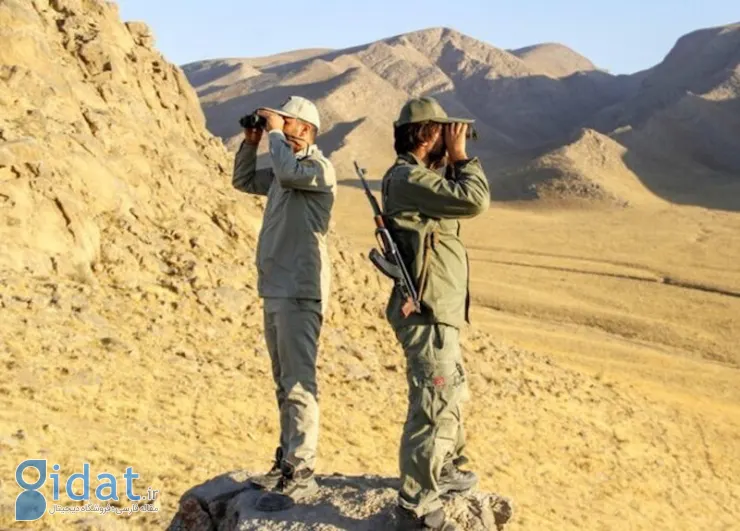 دو محیط‌بان در درگیری با شکارچیان غیرمجاز زخمی شدند