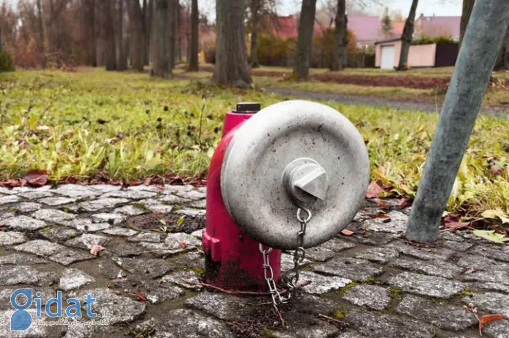 پایان تلخ و مرگبار یک قرار عاشقانه بین یک زوج عاشق!