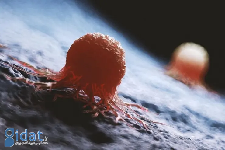 انقلاب در درمان سرطان: هوش مصنوعی راز ۱۰۰ ساله را کشف کرد