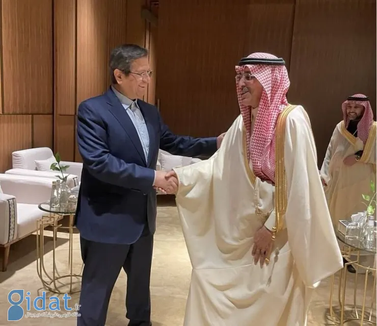 جزئیات دیدار همتی با وزیر دارایی عربستان