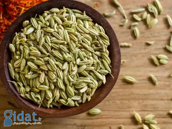 رازیانه: معجزه‌ای طبیعی برای زنان یا مشکلی پنهان؟