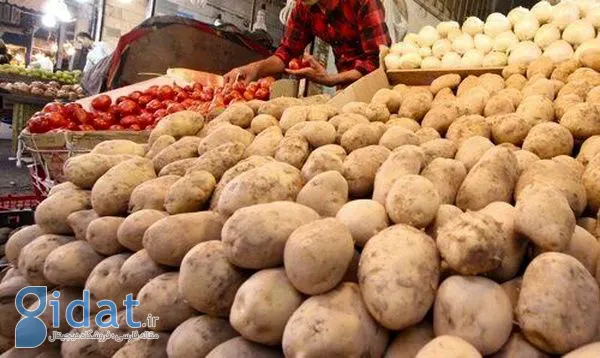 دولت گرانی سیب زمینی را به گردن مردم انداخت!