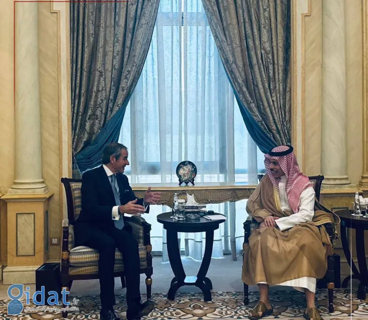 قدردانی گروسی از عربستان سعودی در رابطه با ایران