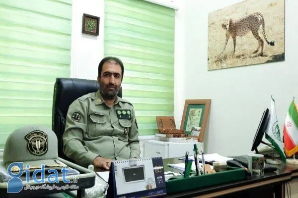 برداشت گیاهان دارویی در دماوند ممنوع شد