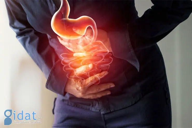 مراقب باشید؛ "آنفولانزای معده" در کمین است!