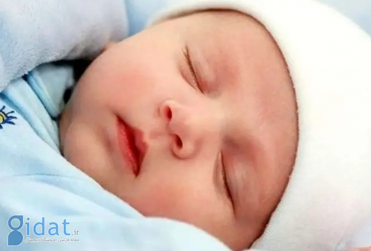 تعداد نوزادان متولد شده در طول جنگ ۱۲ روزه