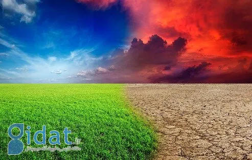 افزایش بی سابقه دمای هوا در مازندران