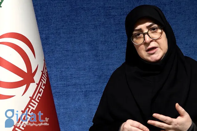 مهاجرانی: ما بر اساس منافع ملی در مورد مذاکرات تصمیم خواهیم گرفت