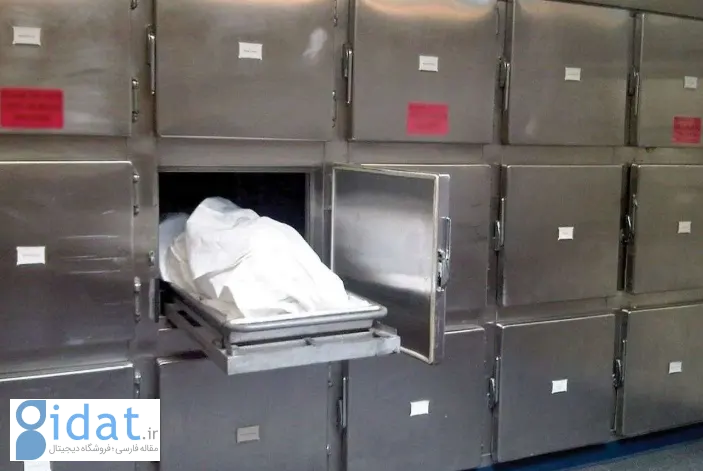 ماجرای مرگ مشکوک یک فعال گردشگری در تهران