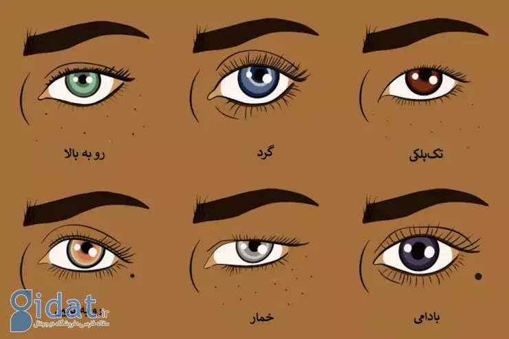چگونه شکل های مختلف چشم را به زیباترین شکل آرایش کنیم؟
