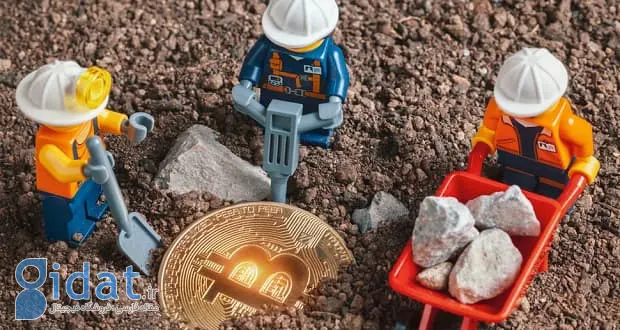 خرید سطل زباله برای یافتن گنج 780 میلیون دلاری!
