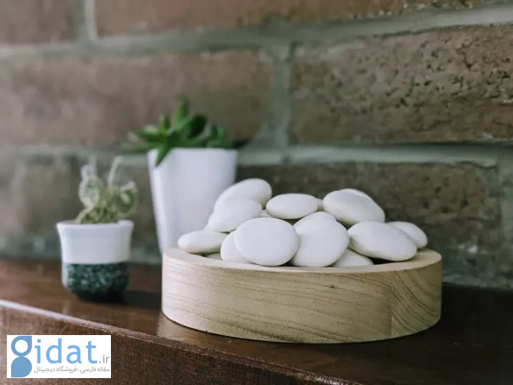 کار عجیب یک استارتاپ آمریکایی با بقایای انسانی