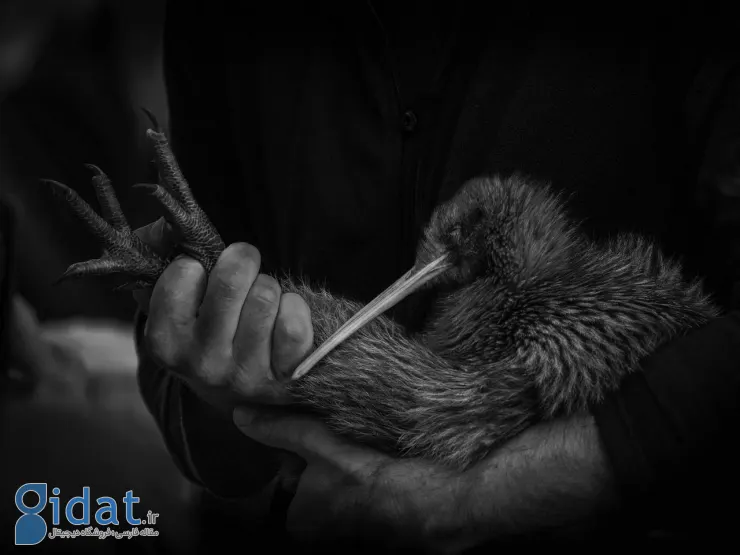 photo_2025-12-01_08-22-06