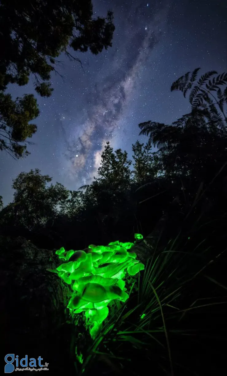 photo_2025-12-01_08-22-07