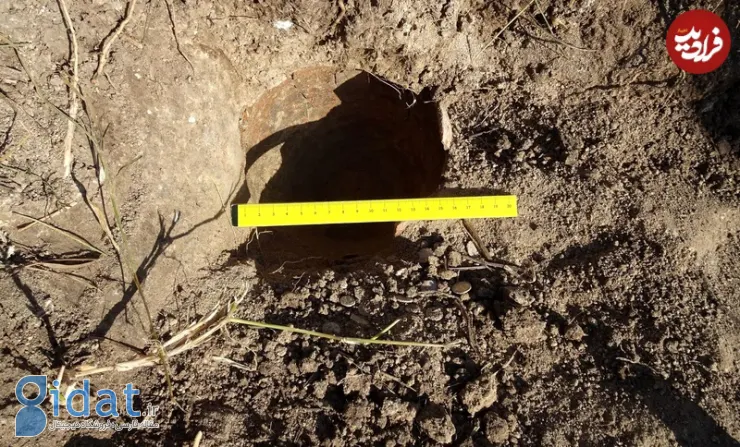 Pot-in-situ