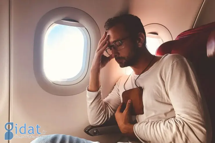 سرنشین+هواپیما