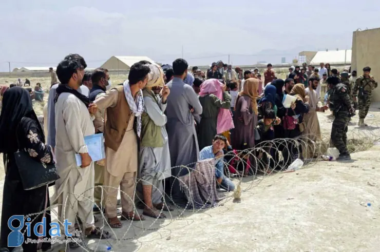 آمار قابل توجه اخراج مهاجران افغان از ایران
