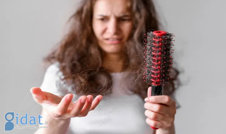 رژیم لاغری بدون ریزش مو؛ چطور وزن کم کنیم و موهای سالمی داشته باشیم؟