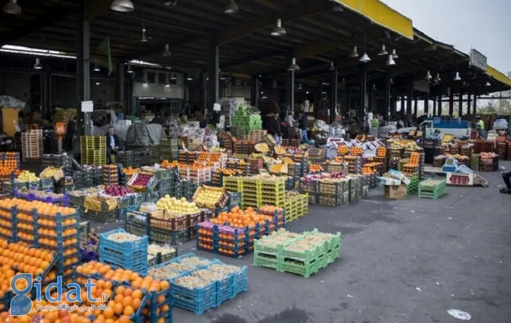قیمت نارنگی در بازار رکورد‌ زد