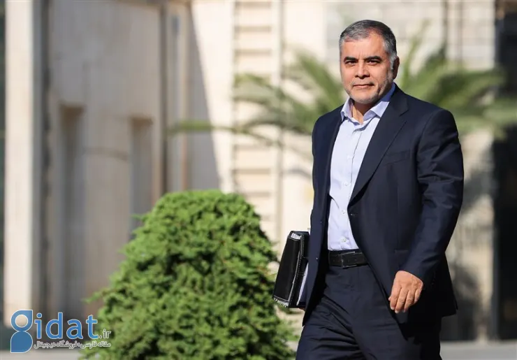 واکنش پاک نژاد به ادعای فروش نفت به زنجانی