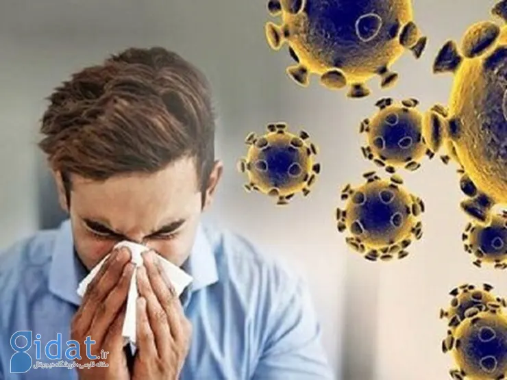 چه کسانی «نباید» واکسن آنفولانزا بزنند؟