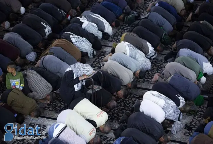 قبل از اینکه برای باران دعا کنیم، به دنبال راه حل هایی برای مشکل روی زمین باشیم