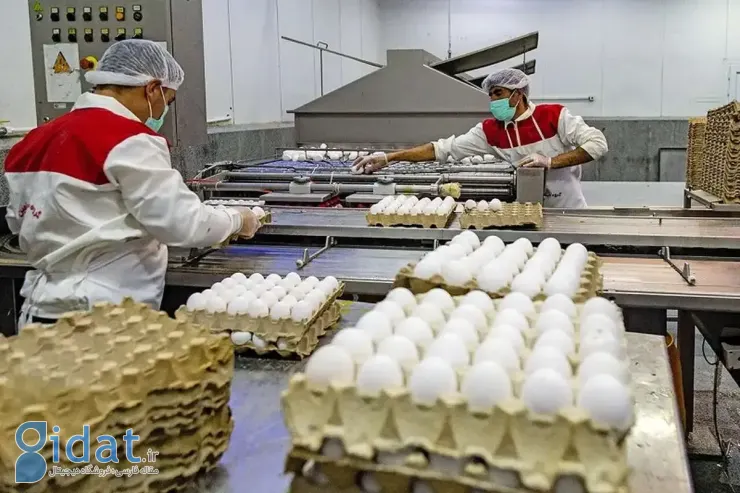 قیمت تخم مرغ در آستانه ماه رمضان تعیین شد