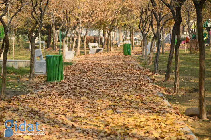 ثبت خاطرات پاییزی در گذر گل ها