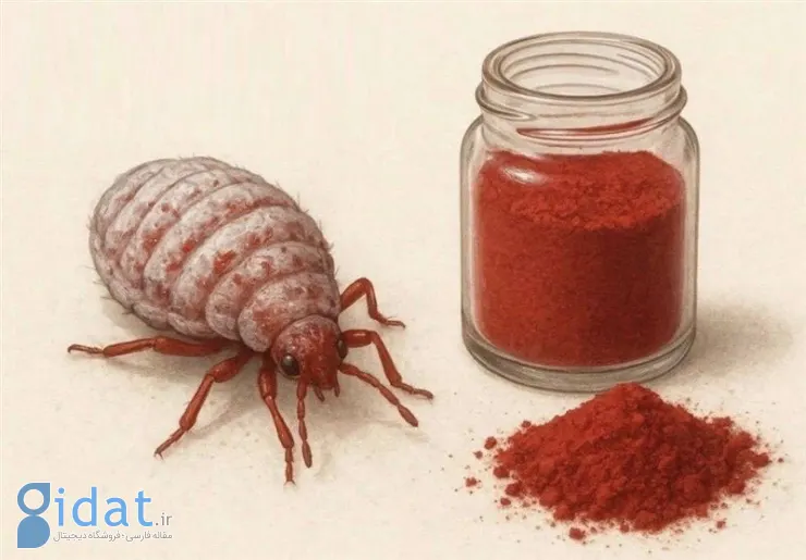 ساخت رنگ خوراکی قرمز در ایران از نوعی حشره