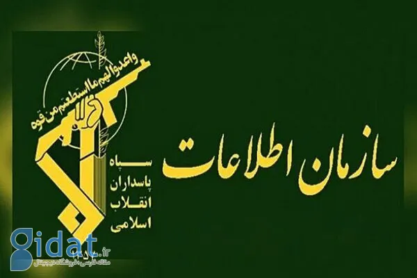 سپاه آرمین راد را دستگیر کرد