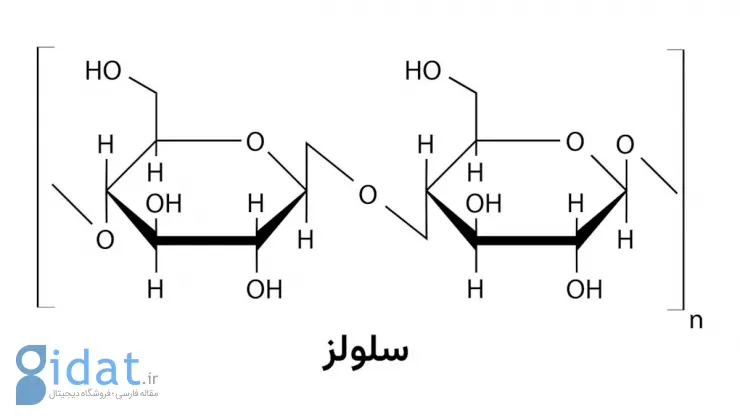 چرا کاغذ وقتی خیس است، راحت‌تر پاره می‌شود؟