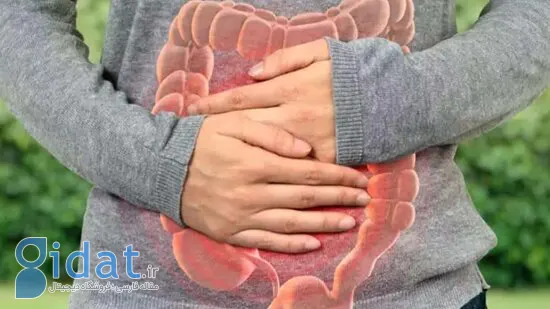 غذاهایی که یبوست را درمان می‌کنند