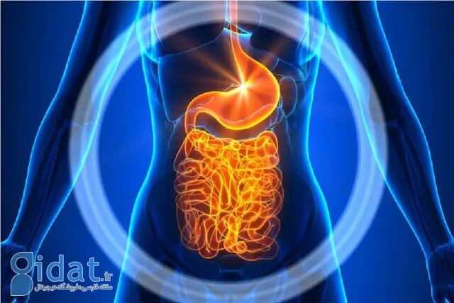 تاثیر شگفت انگیز مدفوع در کاهش علائم یک اختلال عصبی