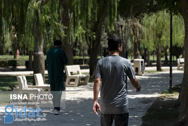 لرستان تا پایان هفته در موج گرما!