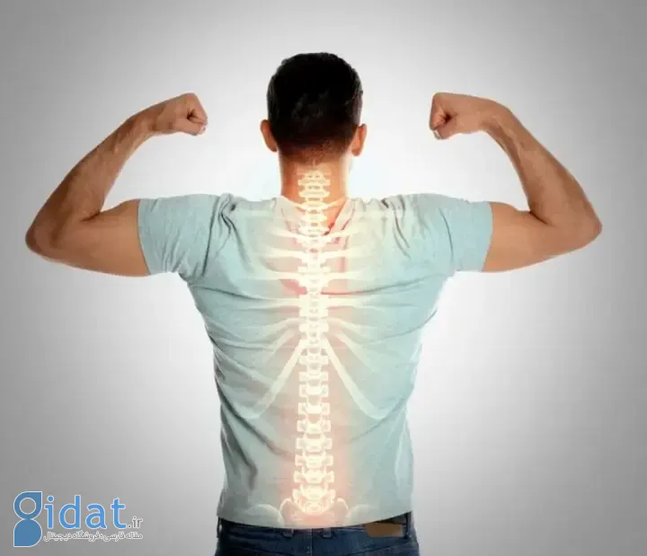 ۵ راه عالی برای داشتن استخوان‌های قوی