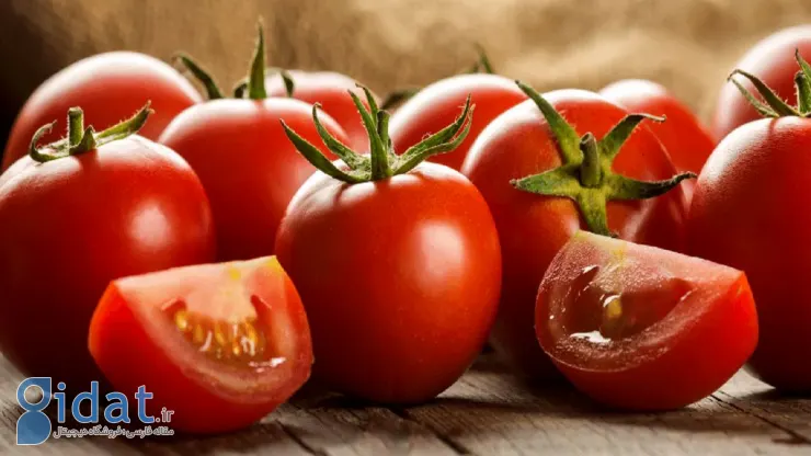 فواید افزودن گوجه فرنگی به رژیم غذایی روزانه