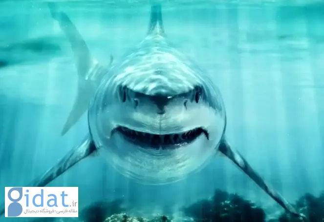 این کوسه در عصر دایناسورها پادشاه اقیانوس بود!