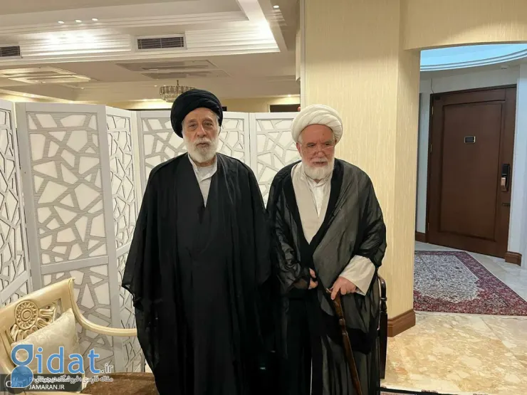 عکسی از دیدار سید هادی خامنه ای با مهدی کروبی