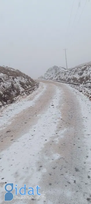 photo_2025-11-03_19-40-30