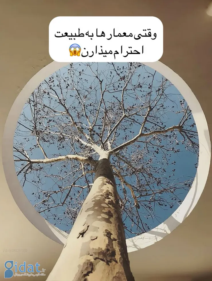 معمارانی که به درختان "نه" نگفتند!