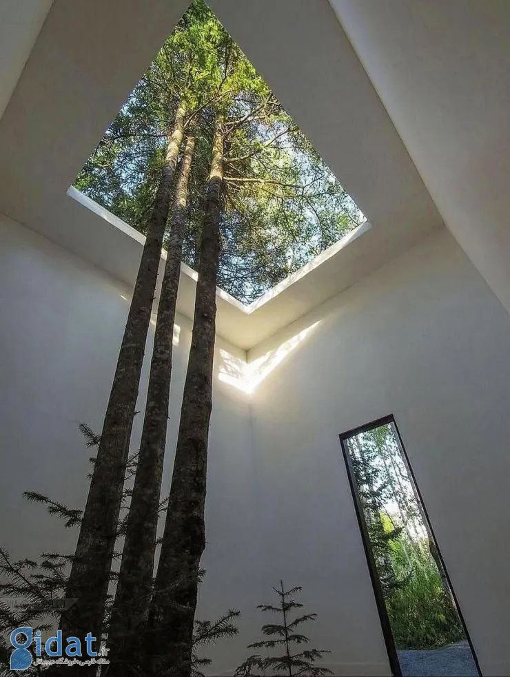 photo_2025-11-04_11-38-09