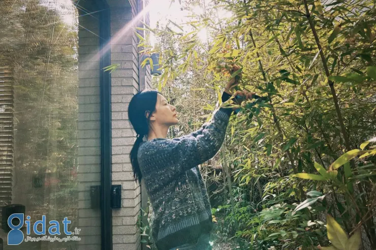 photo_2025-12-13_00-07-20