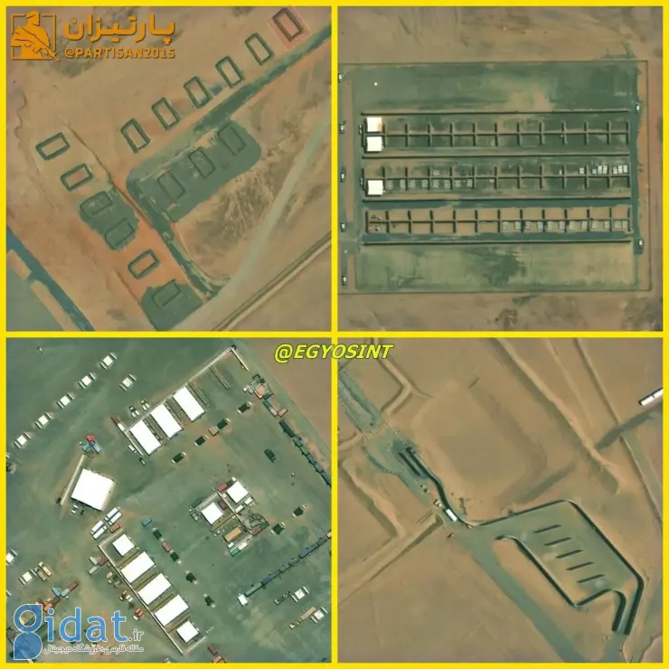 photo_2026-02-03_02-35-19