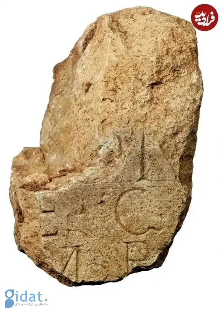 photo_2026-02-11_00-32-58