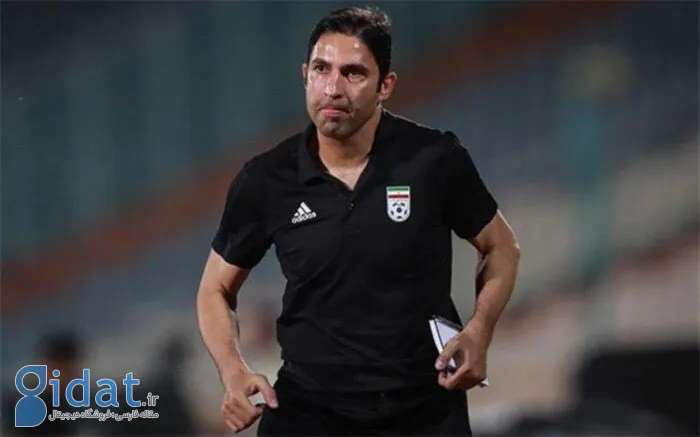 چرا وحید هاشمیان به عنوان سرمربی پرسپولیس انتخاب شد؟