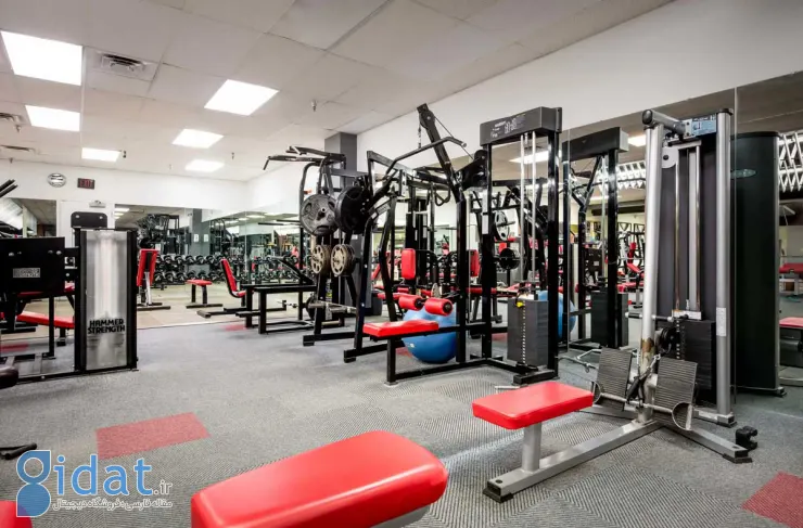 باشگاه ورزشی تابان